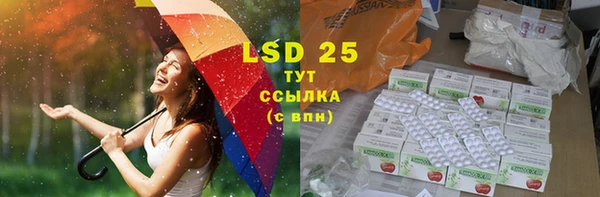 стаф Абинск