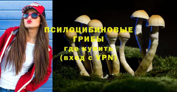 стаф Абинск