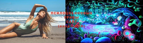 стаф Абинск