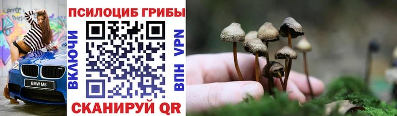 Галлюциногенные грибы мицелий  Азов 